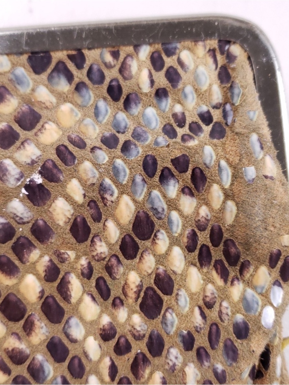 HOBO Tan and Purple Snakeskin-Pattern Clutch Wallet - Picture 4 of 13